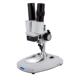 Microscopio estereoscópico binocular