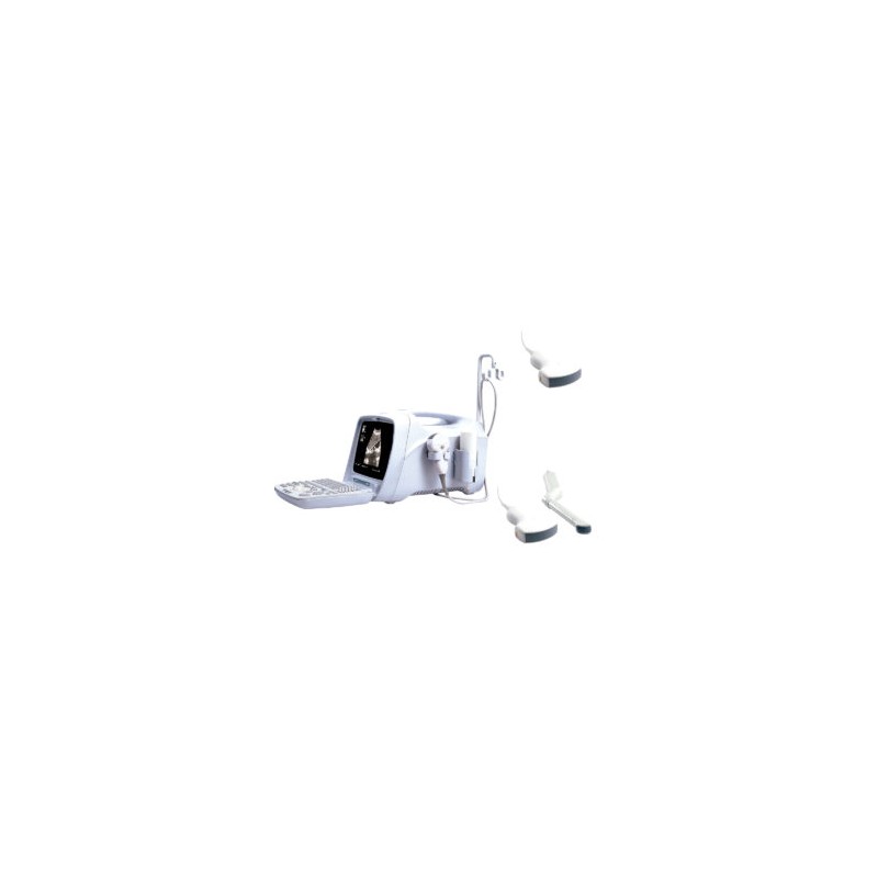 Ultrasonido C40 con 2 transductor convexo/endocavitario